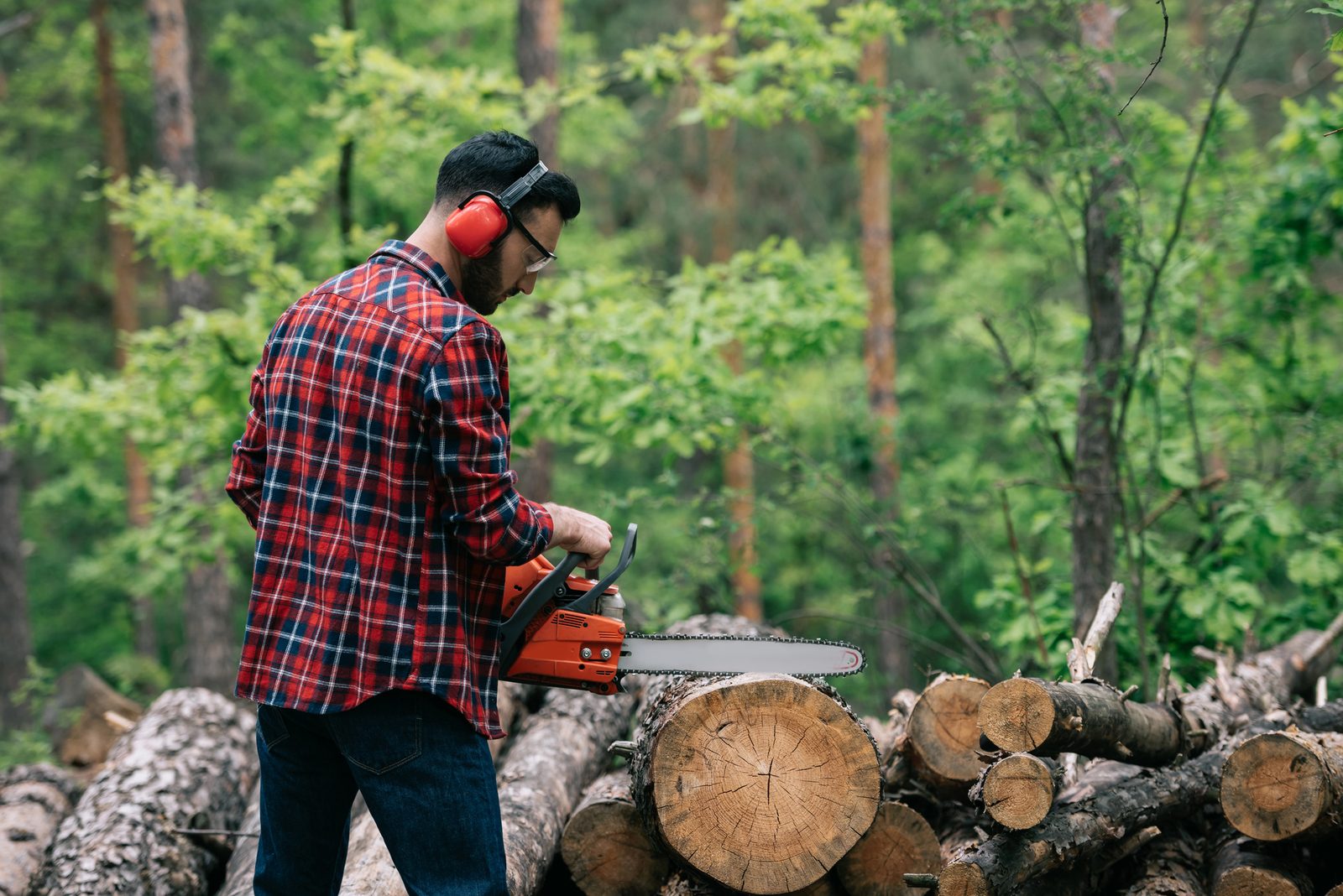 Lumberjack in red plaid shirt and ear protection using orange chainsaw to cut logs in forest