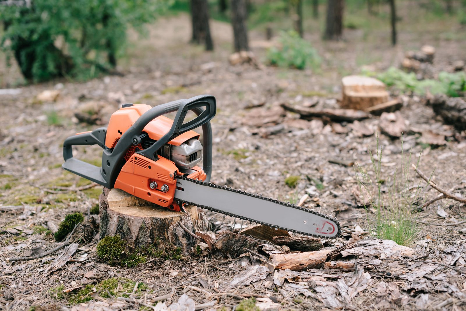 Orange chainsaw resting on a tree stump in a forest clearing with wood chips and cut stumps in background