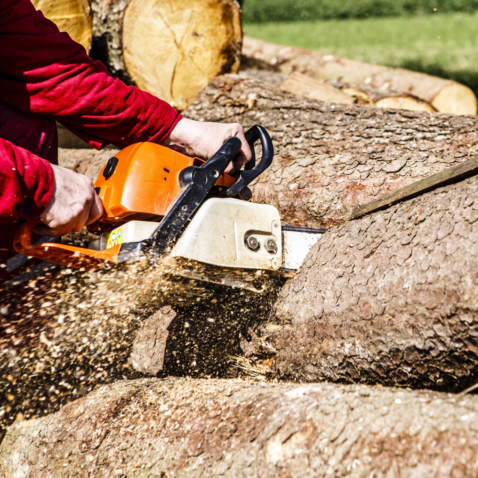 Person in red jacket cutting large logs with an orange chainsaw