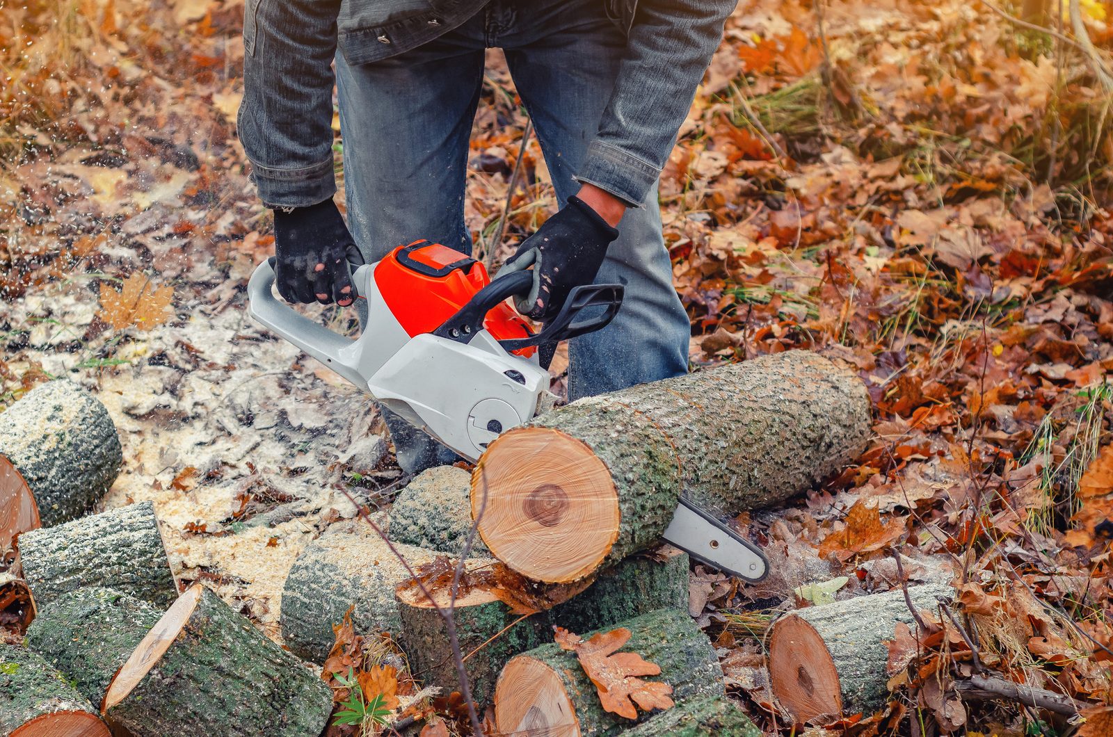 Person using an orange and white chainsaw to cut logs in a forest covered with fallen autumn leaves.