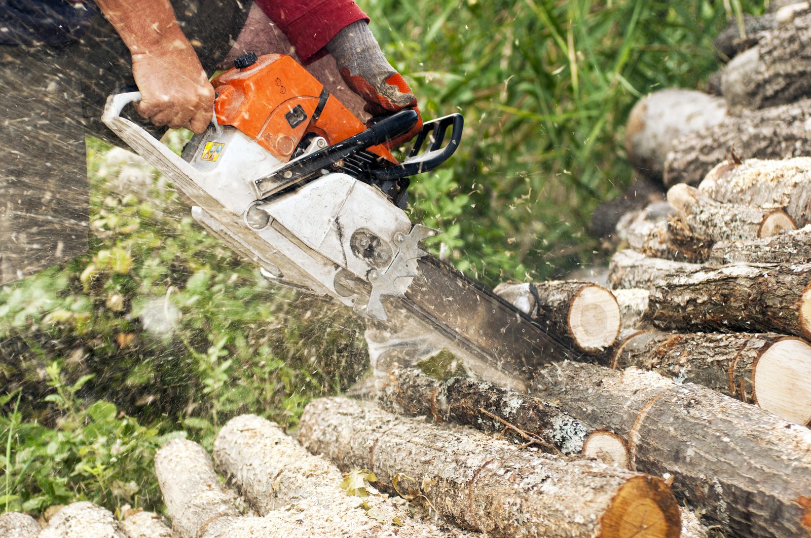 Worker using an orange chainsaw to cut logs into sections